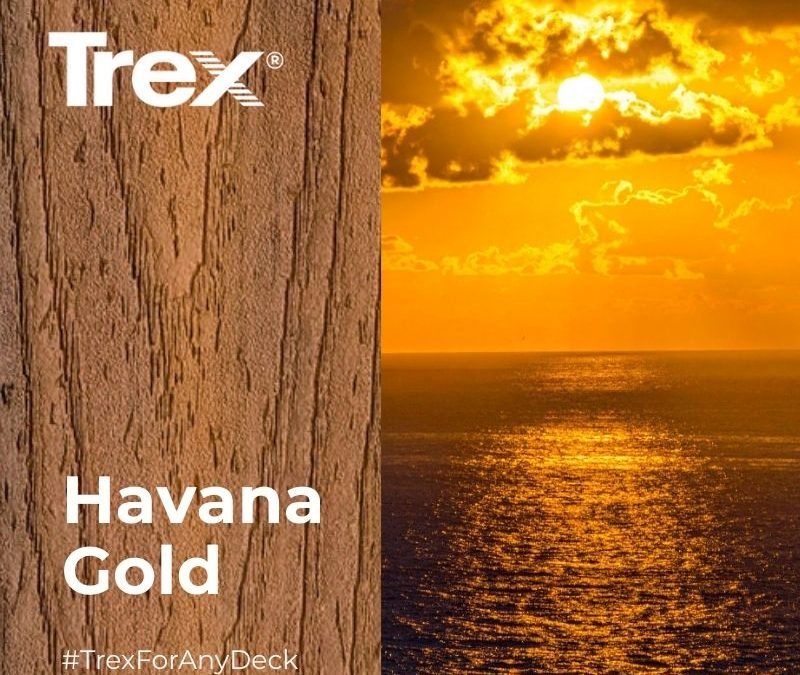 Trex Transcend HAVANA GOLD