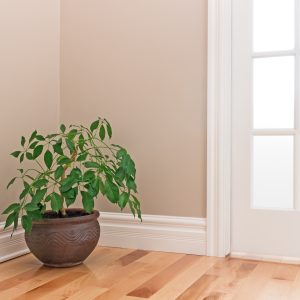 Skirting & Architraves