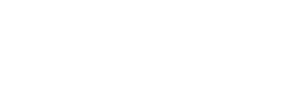 white plusdek logo (1000 x 300 px) (1)